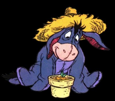 Eeyore 